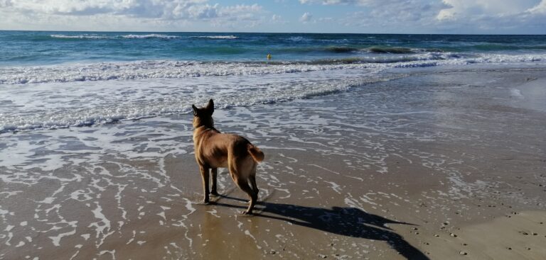 Inspirationsquelle Meer